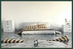 Hallandale Beach Restoration Expert Hallandale Beach, FL 954-390-2414 - abt-wgr-flood