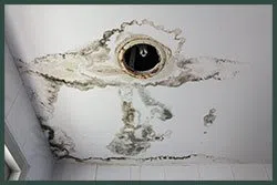 Hallandale Beach Restoration Expert Hallandale Beach, FL 954-390-2414 - abt-wgr-leaks