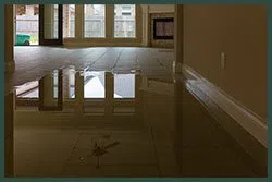 Hallandale Beach Restoration Expert Hallandale Beach, FL 954-390-2414 - abt-wgr-water
