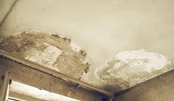 Hallandale Beach Restoration Expert Hallandale Beach, FL 954-390-2414 - home-cnt-wgr