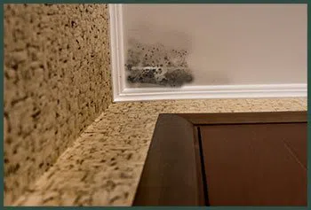 Hallandale Beach Restoration Expert Hallandale Beach, FL 954-390-2414 Hallandale Beach Restoration Expert Hallandale Beach, FL 954-390-2414 - ser-mold-cont-wgr